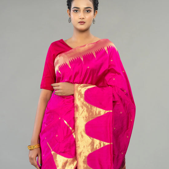 Magenta & Wine Berhampur Silk Tissue Saree - Fabric texture and drape